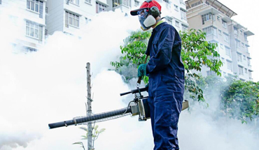 Fumigation Service in Lahore